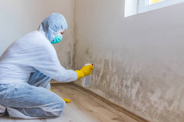Licensed Bathroom Mold Removal service in Aberdeen, MD - WQB Mold Removal